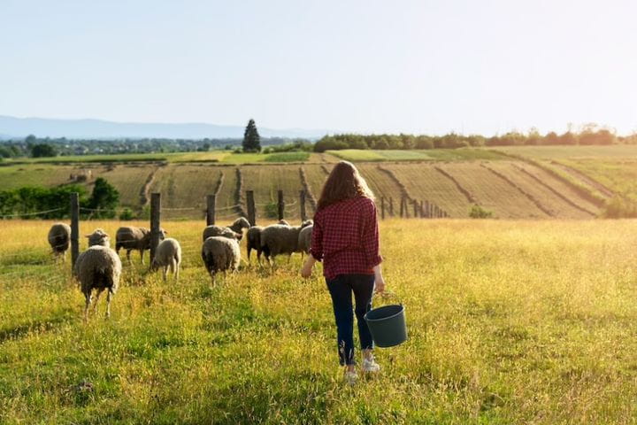 expropiación de montes comunales